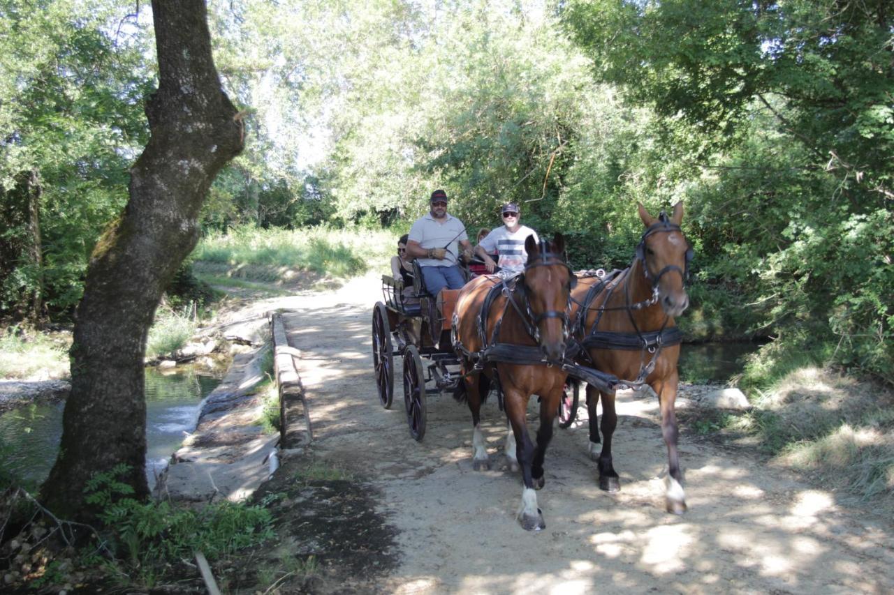Le Mas De La Coste Saint-Sauveur-de-Cruzière Kültér fotó
