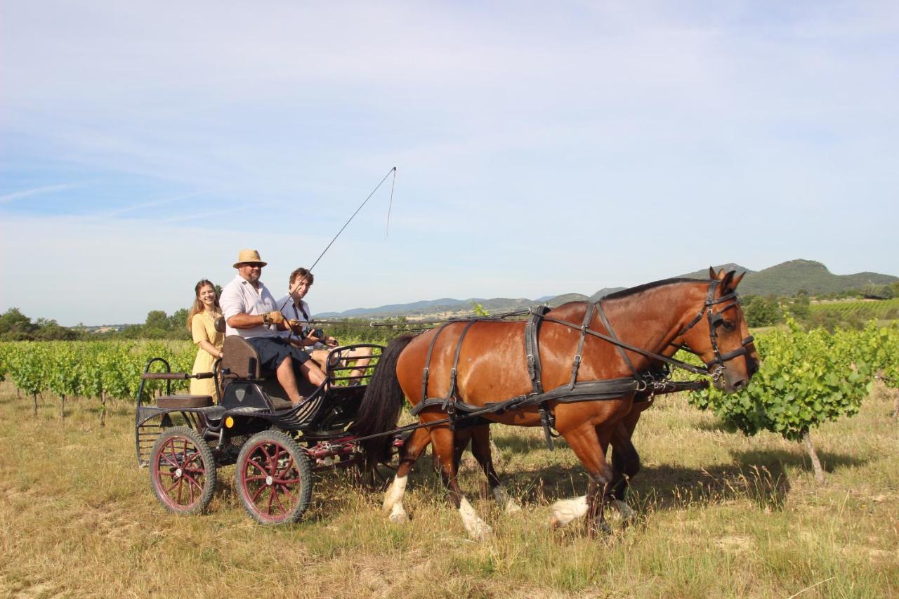 Le Mas De La Coste Saint-Sauveur-de-Cruzière Kültér fotó